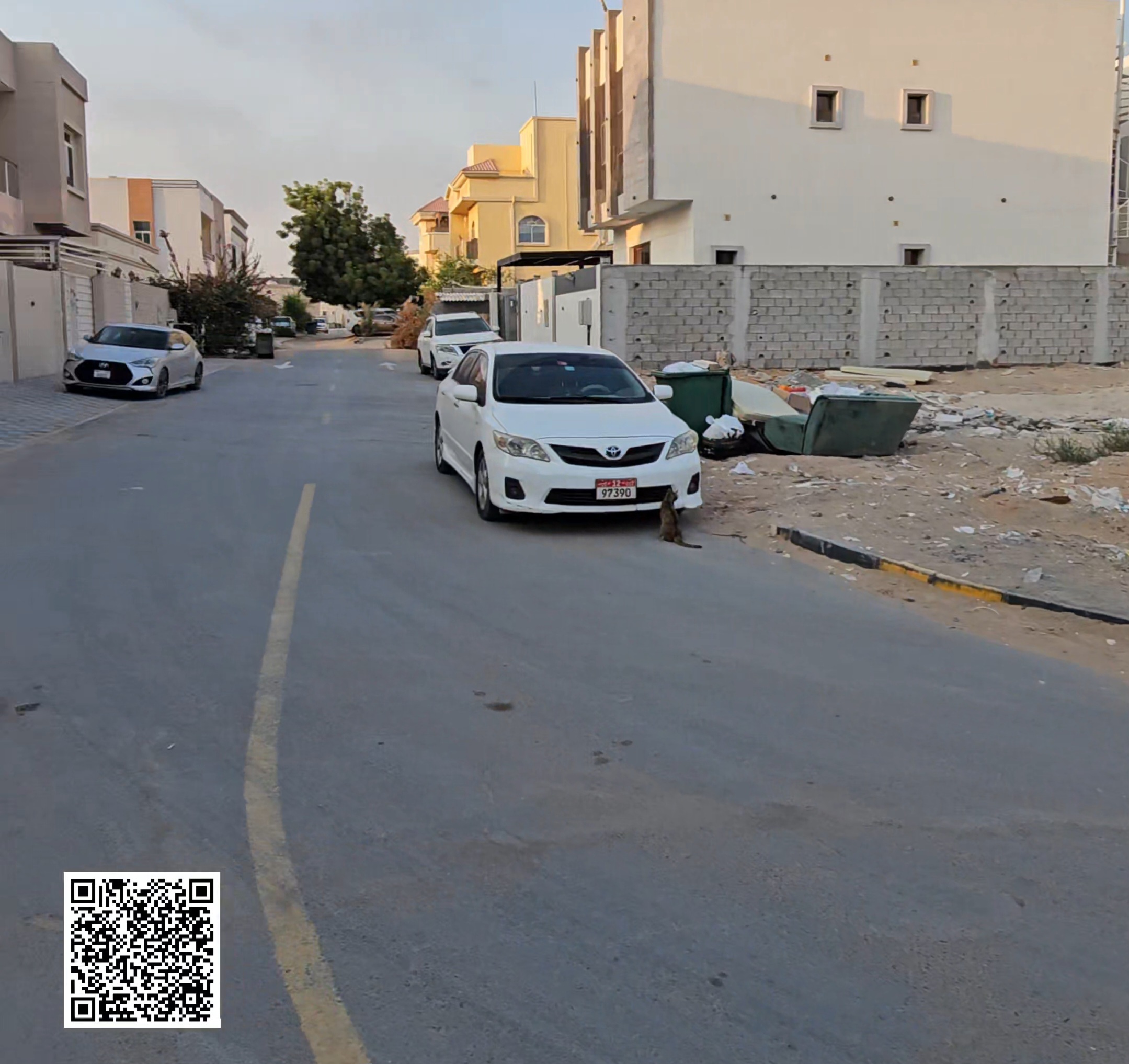 1000586182 1000586182