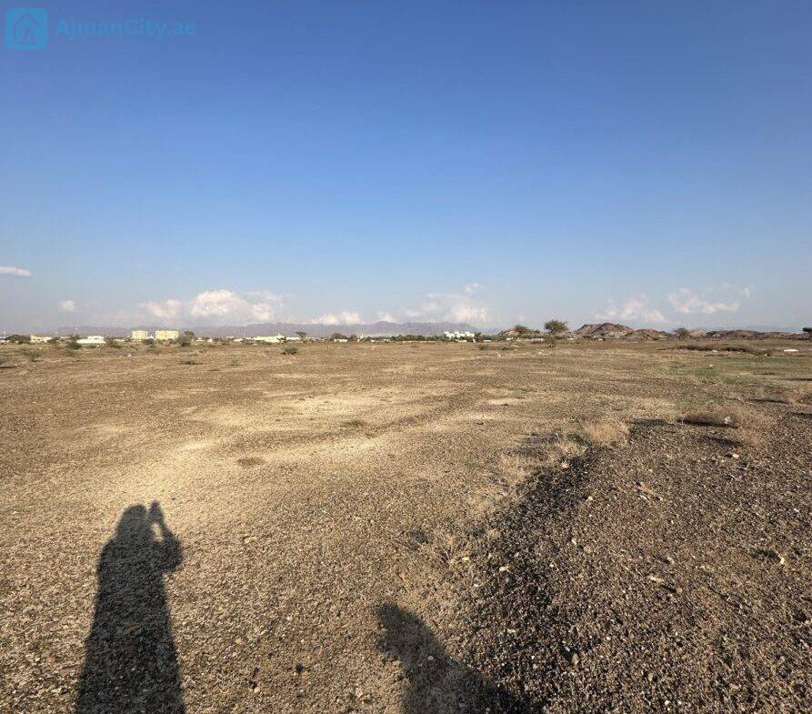 للبيع ارض بالمنامة حوض 14 – عجمان