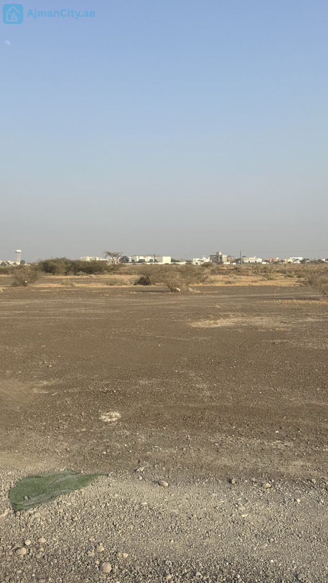 للبيع ارض سكنية في المنامة حوض 8 – عجمان