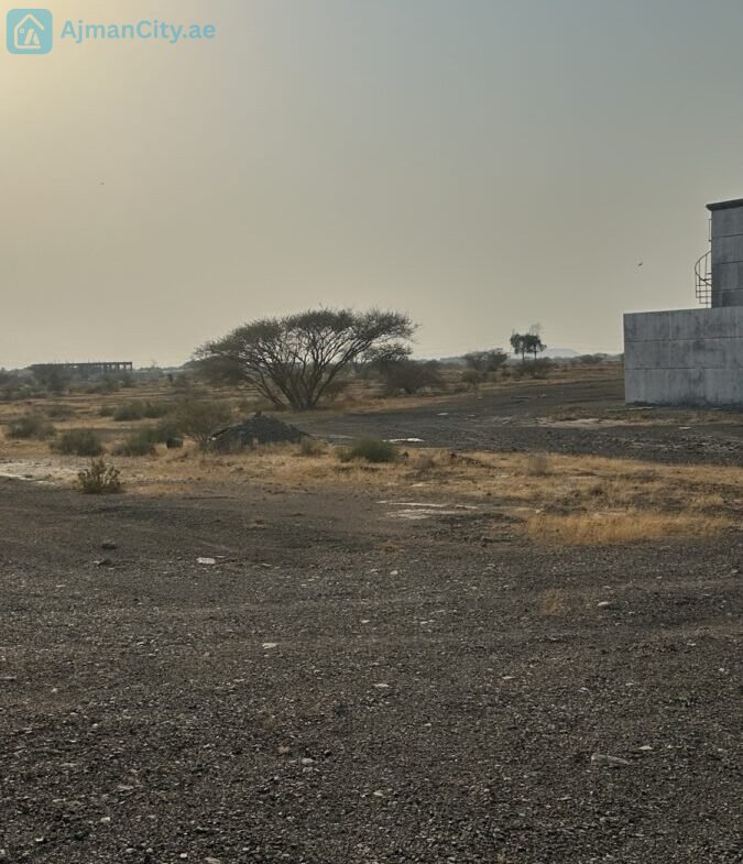 للبيع ارض سكنية في المنامة حوض 8 – عجمان