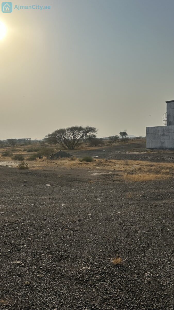 للبيع ارض سكنية في المنامة حوض 8 – عجمان