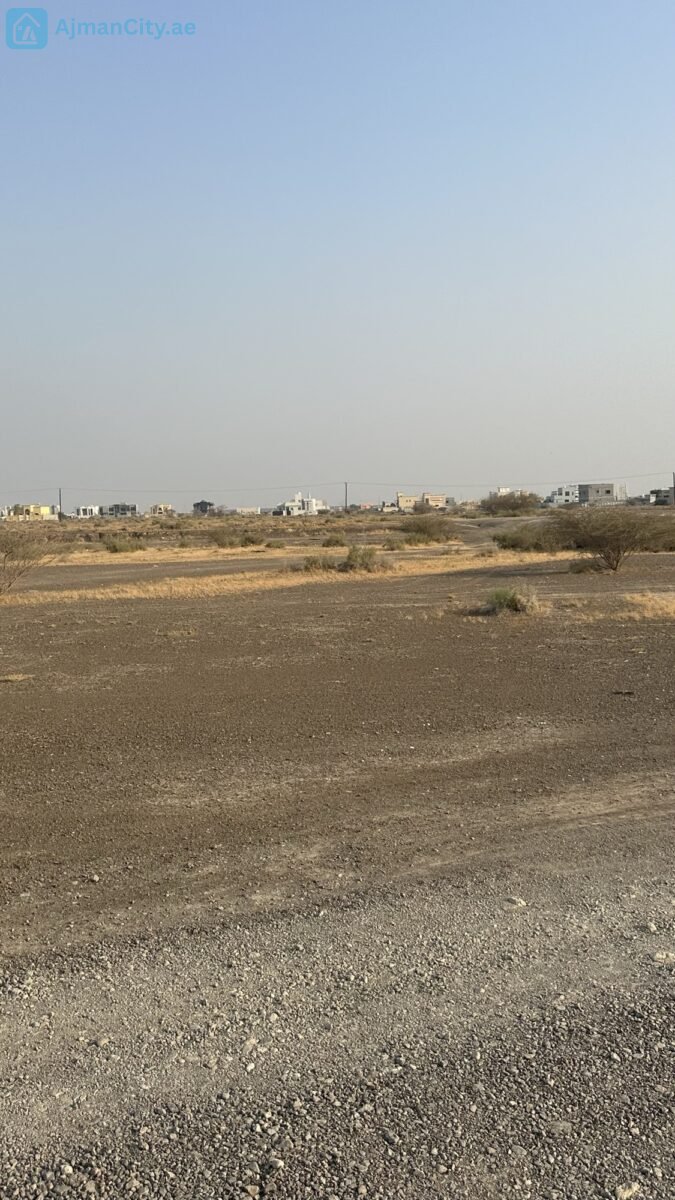 للبيع ارض سكنية في المنامة حوض 8 – عجمان