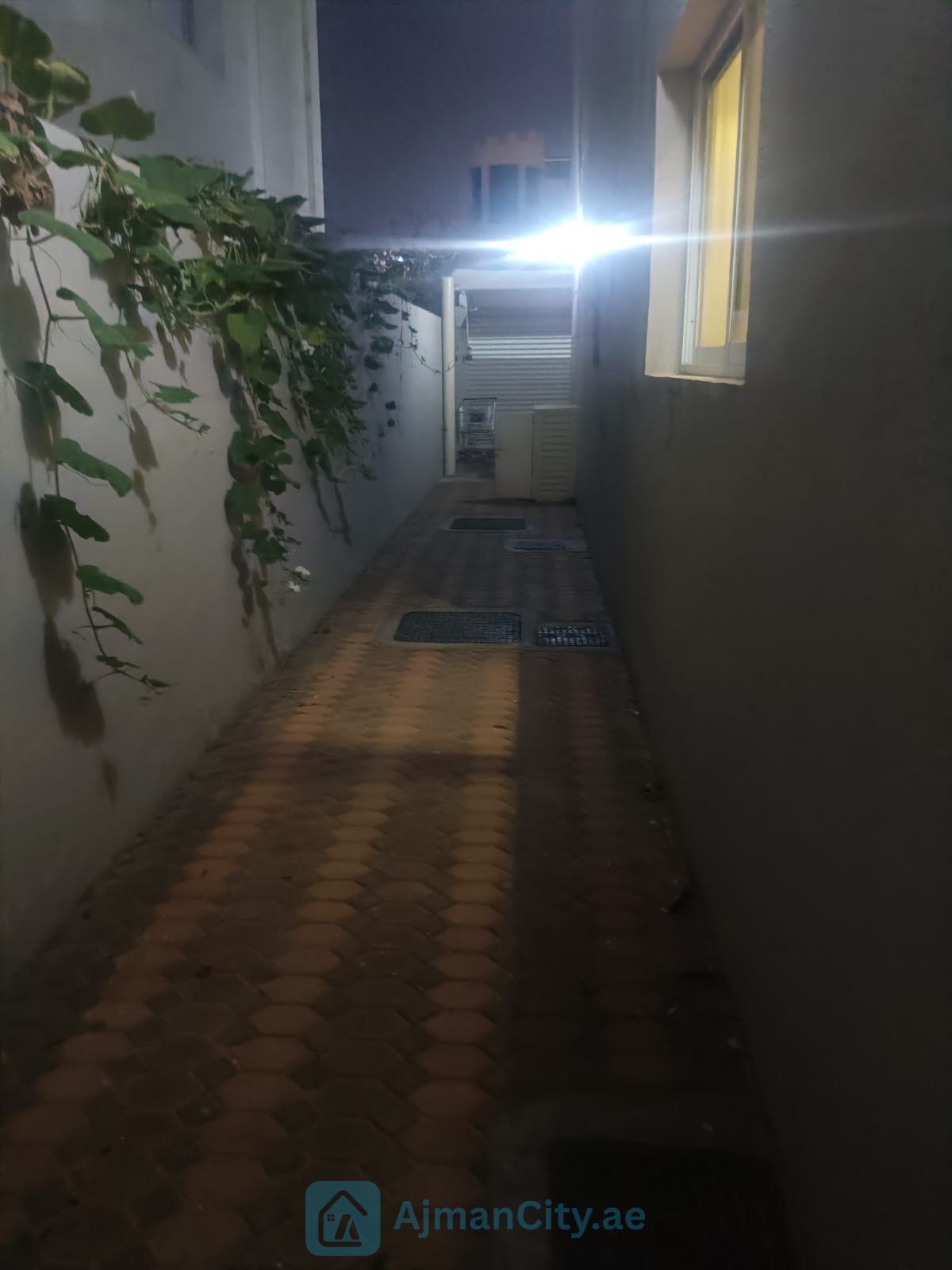 فيلا بالرميلة 1 تاني خط من الكورنيش