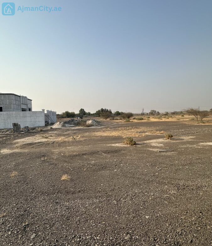للبيع ارض سكنية في المنامة حوض 8 – عجمان
