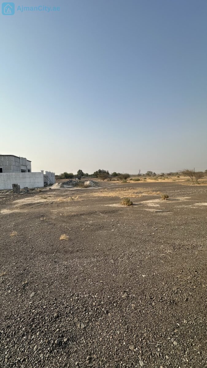للبيع ارض سكنية في المنامة حوض 8 – عجمان
