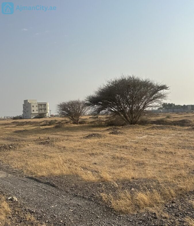 للبيع ارض سكنية بالمنامة حوض 5 – عجمان