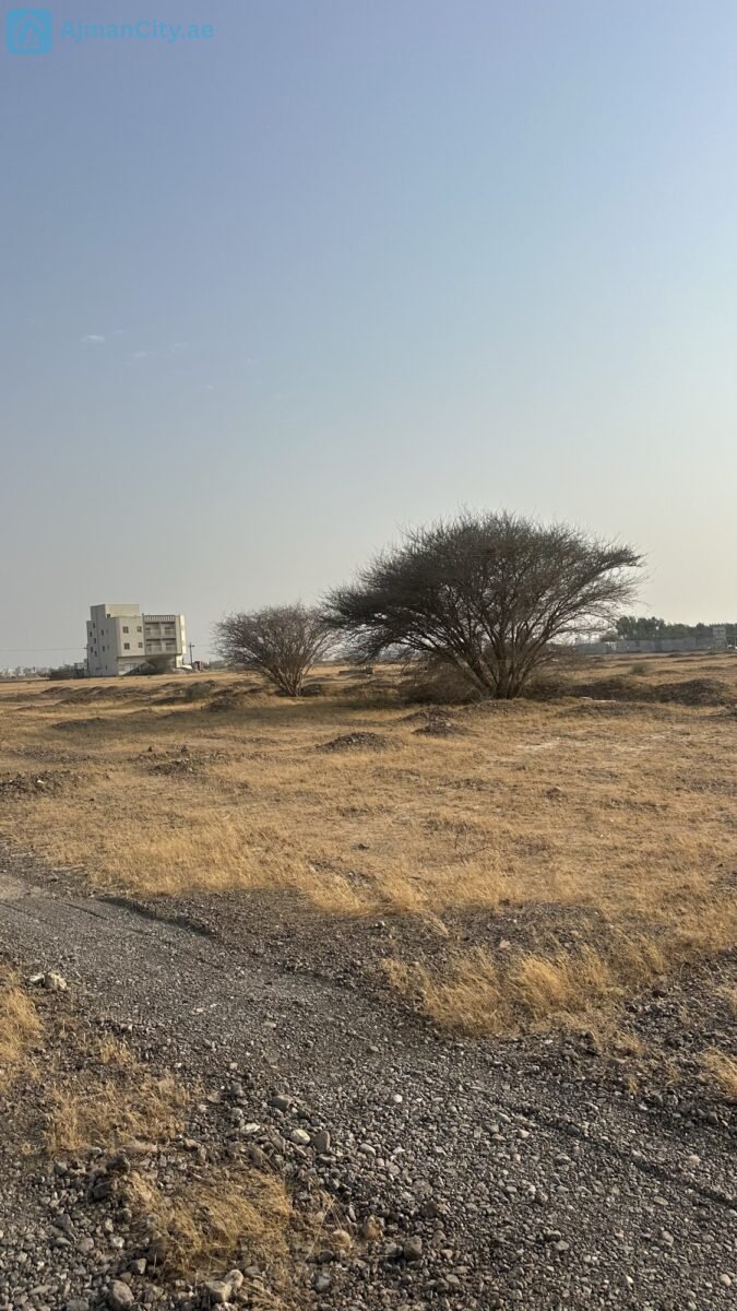 للبيع ارض سكنية بالمنامة حوض 5 – عجمان