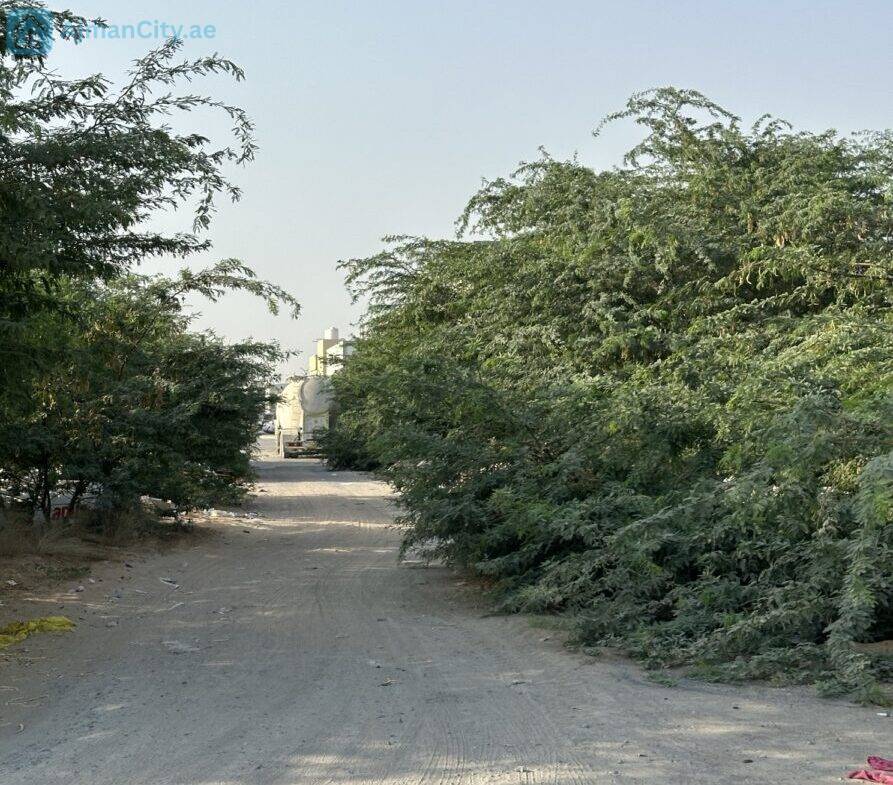 للبيع ارض صناعية بالجرف الصناعية 2 -عجمان