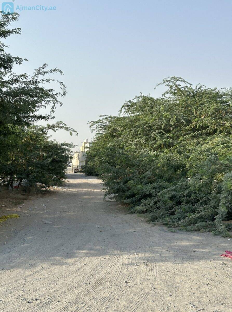 image_picker_968002B1-A4E0-465B-9587-E4E8F2C769C2-31672-00000E4C8CEB8F52 للبيع ارض صناعية بالجرف الصناعية 2 -عجمان