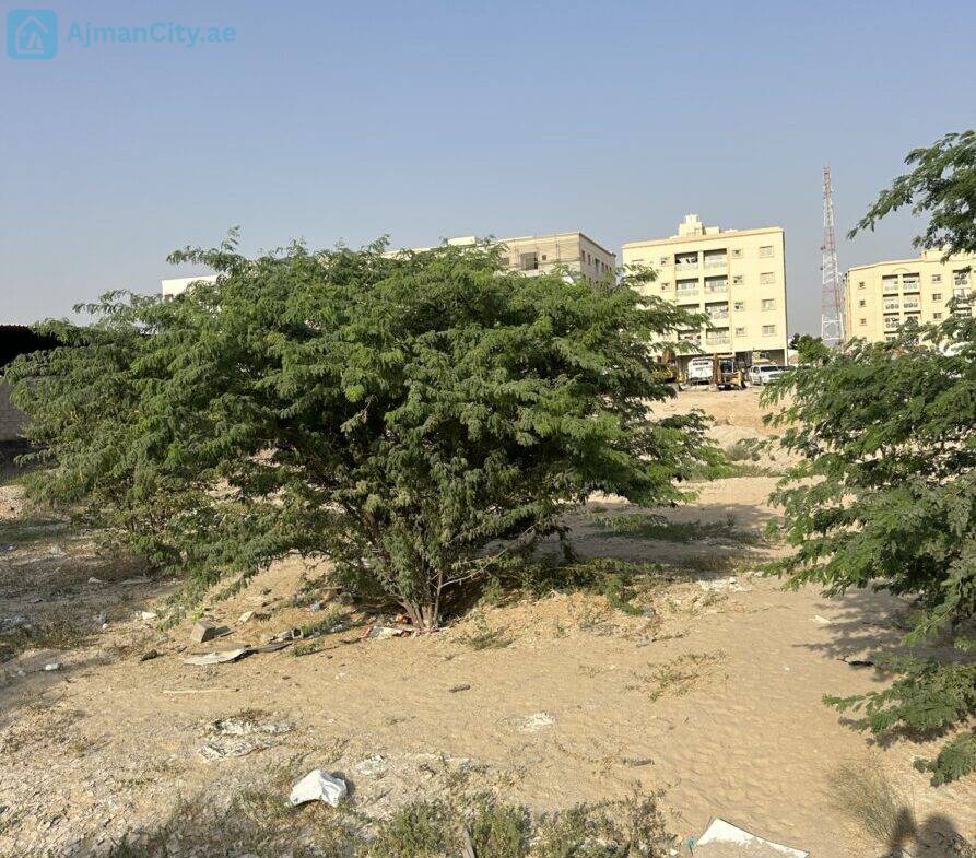للبيع ارض صناعية بالجرف الصناعية 2 -عجمان