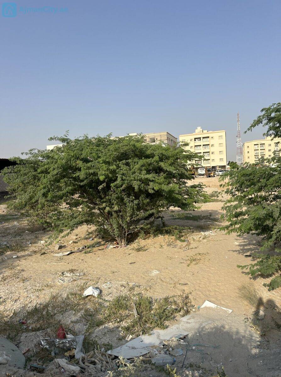 image_picker_9DDF67CB-13BD-484F-A971-0268E45CA06C-31672-00000E4C8D84B394 للبيع ارض صناعية بالجرف الصناعية 2 -عجمان