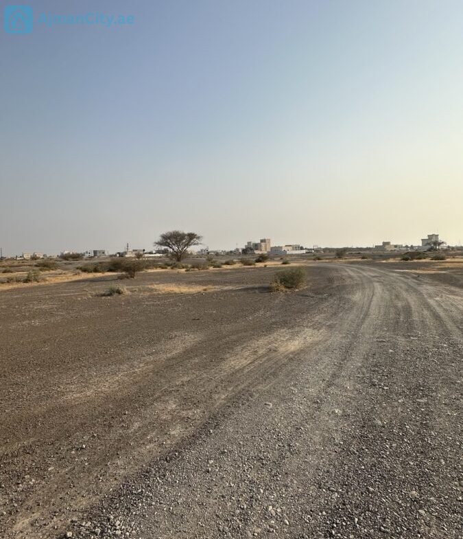 للبيع ارض سكنية في المنامة حوض 8 – عجمان