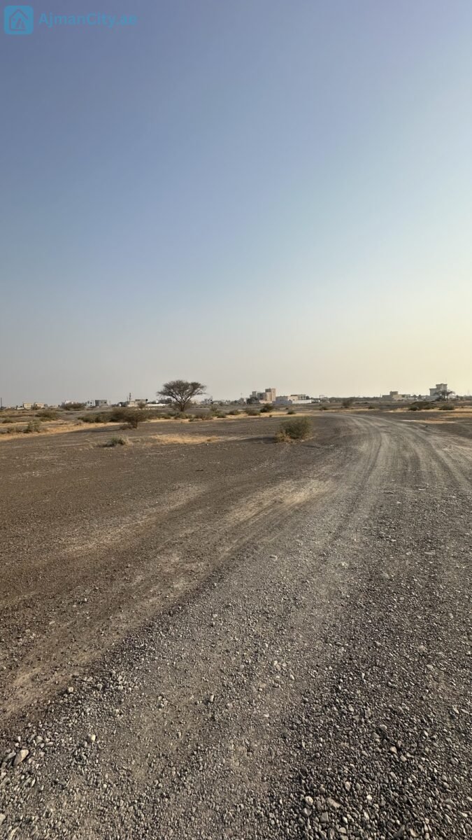 للبيع ارض سكنية في المنامة حوض 8 – عجمان