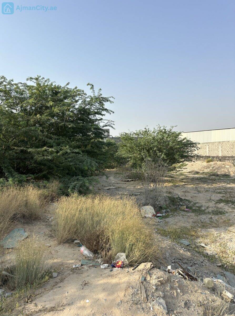 image_picker_DB096FDD-5C9F-4E5C-A58C-3AD6DABBACA6-31672-00000E4C8CB7B4E4 للبيع ارض صناعية بالجرف الصناعية 2 -عجمان