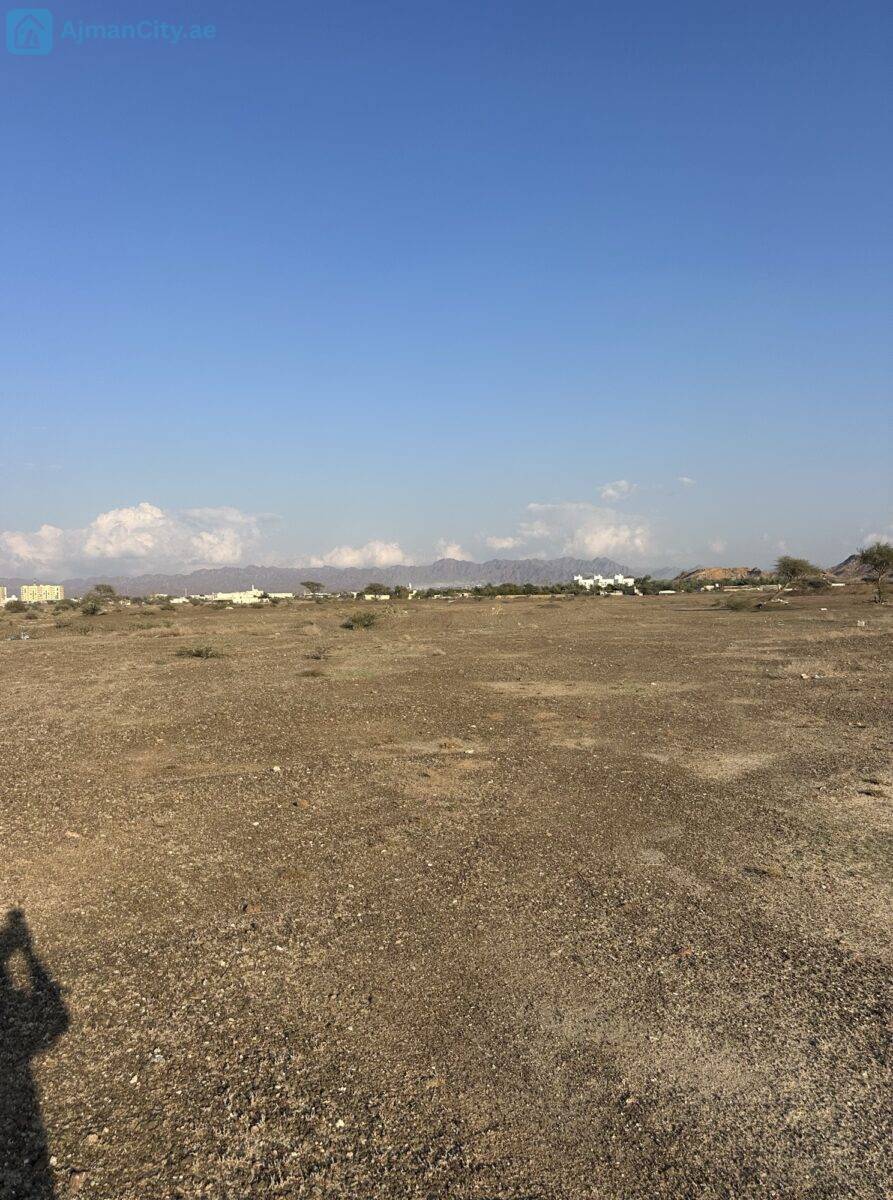 للبيع ارض بالمنامة حوض 14 – عجمان