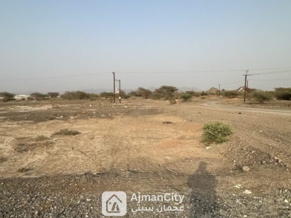 للبيع ارض سكنية بالمنامة حوض 14 – عجمان